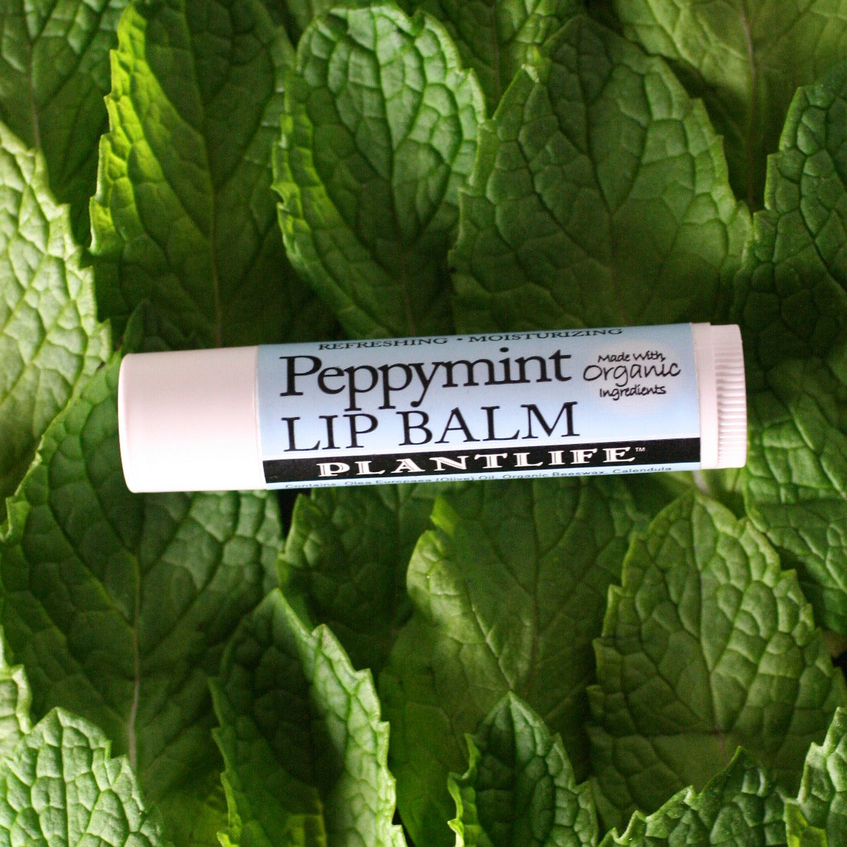 PeppyMint Lip Balm