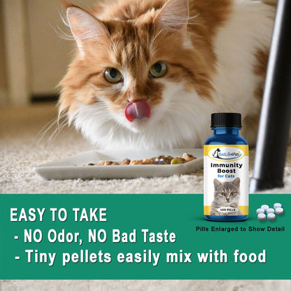 Natural Cat Allergy & Immunity Support Supplement by BestLife4Pets