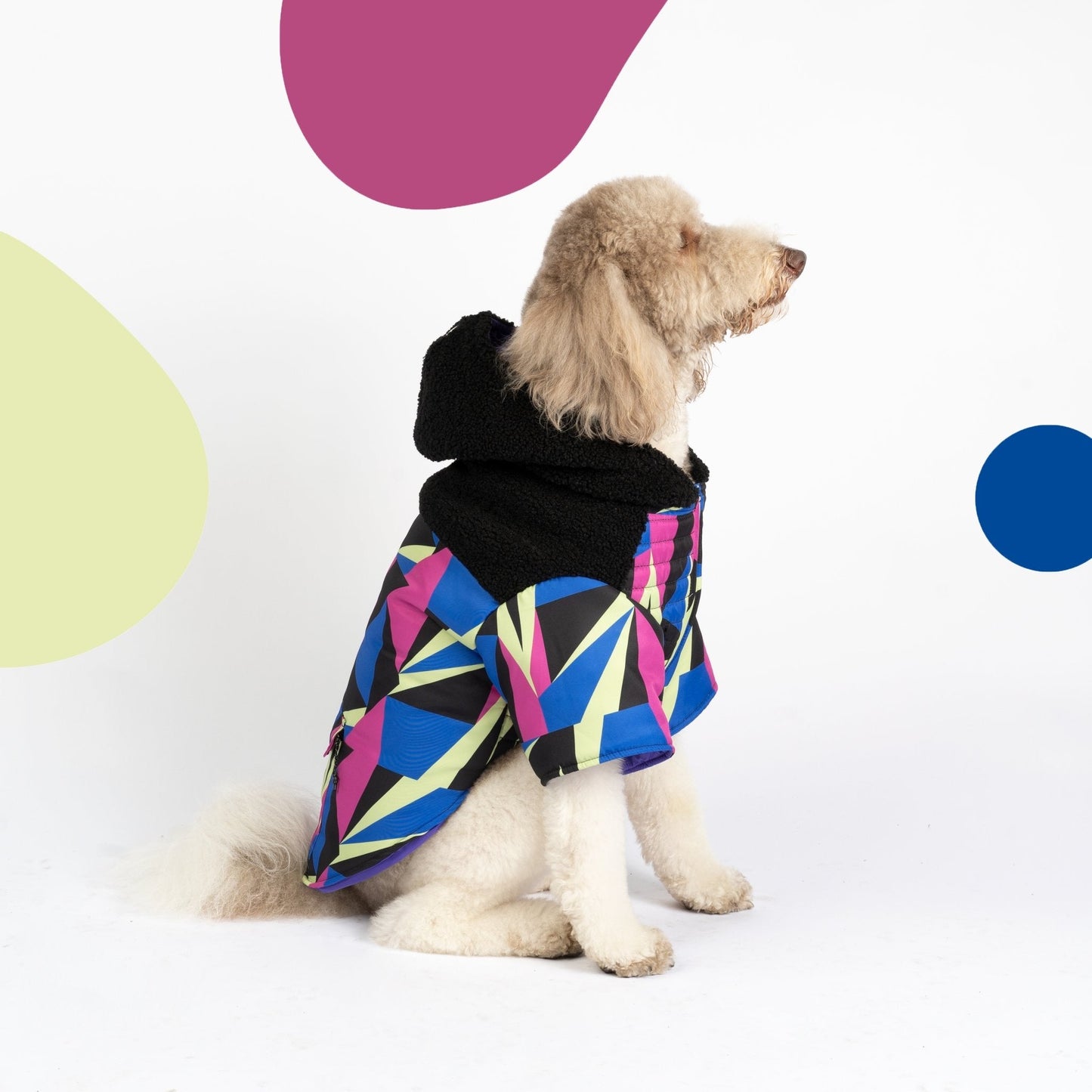 Ingo Dog Jacket  Water-Resistant Winter Coat with Poop Bag Dispenser & Sherpa Lining