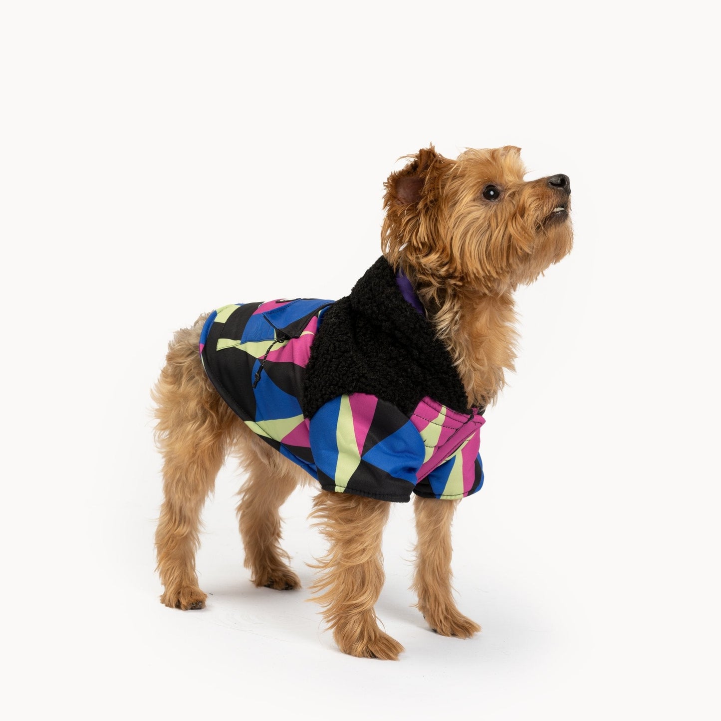 Ingo Dog Jacket  Water-Resistant Winter Coat with Poop Bag Dispenser & Sherpa Lining
