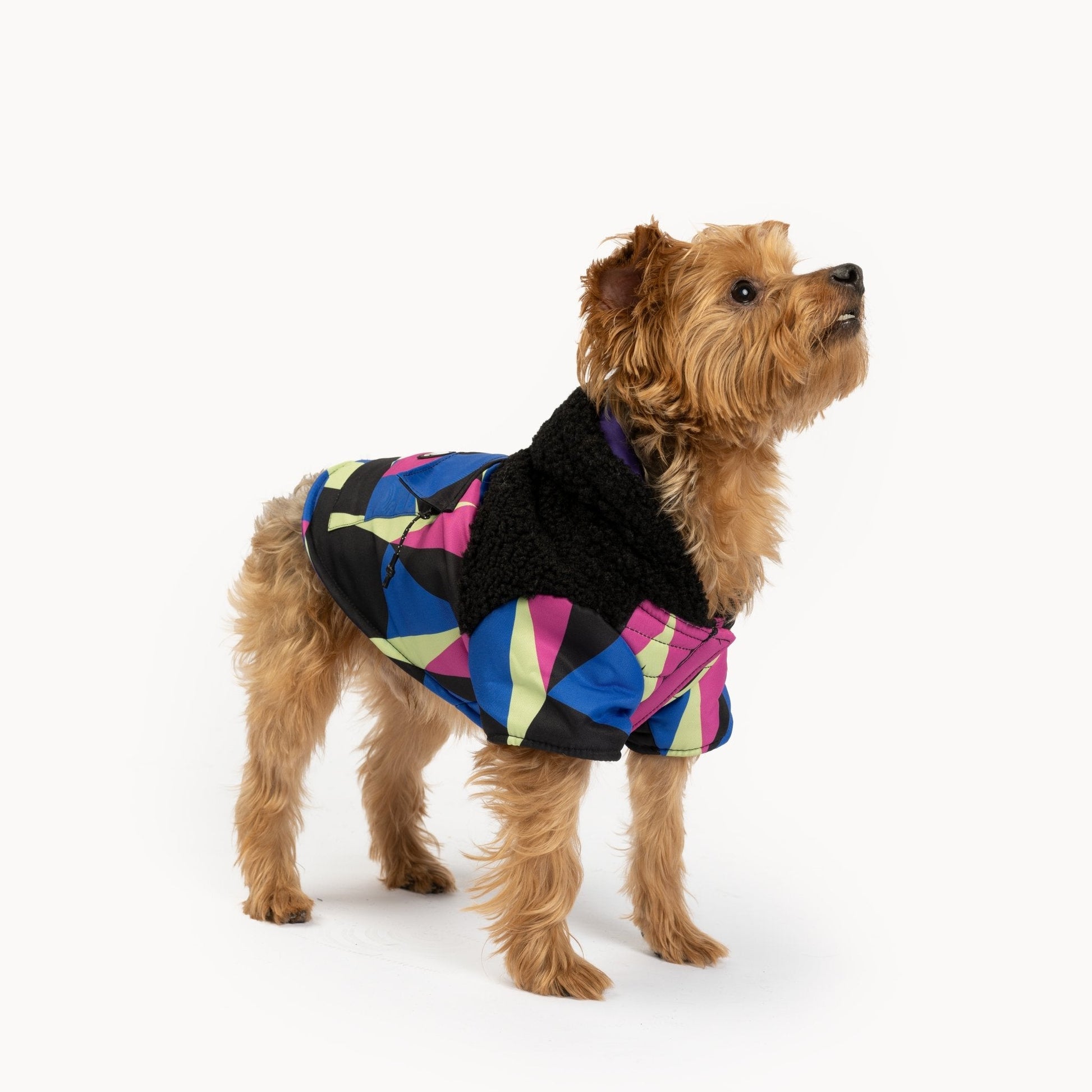 Ingo Dog Jacket  Water-Resistant Winter Coat with Poop Bag Dispenser & Sherpa Lining