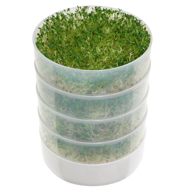 Kitchen Crop Round 4-Tray Seed Sprouting Kit