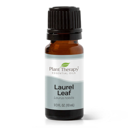 Laurel Leaf Essential Oil