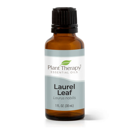 Laurel Leaf Essential Oil