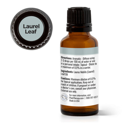 Laurel Leaf Essential Oil