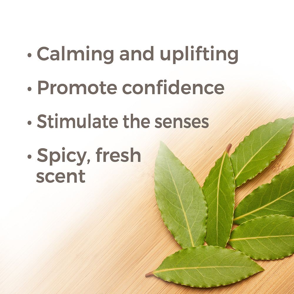 Laurel Leaf Essential Oil