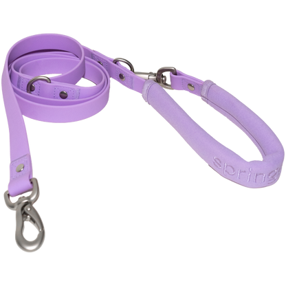 Dog Leash