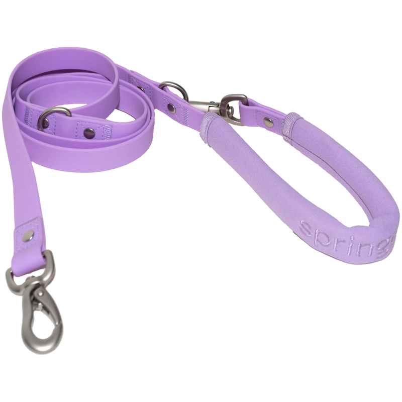 Dog Leash