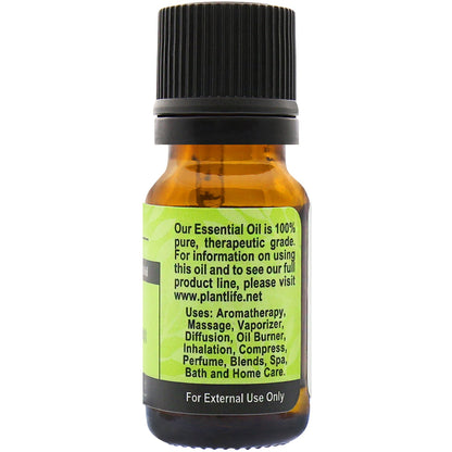 Lime Essential Oil