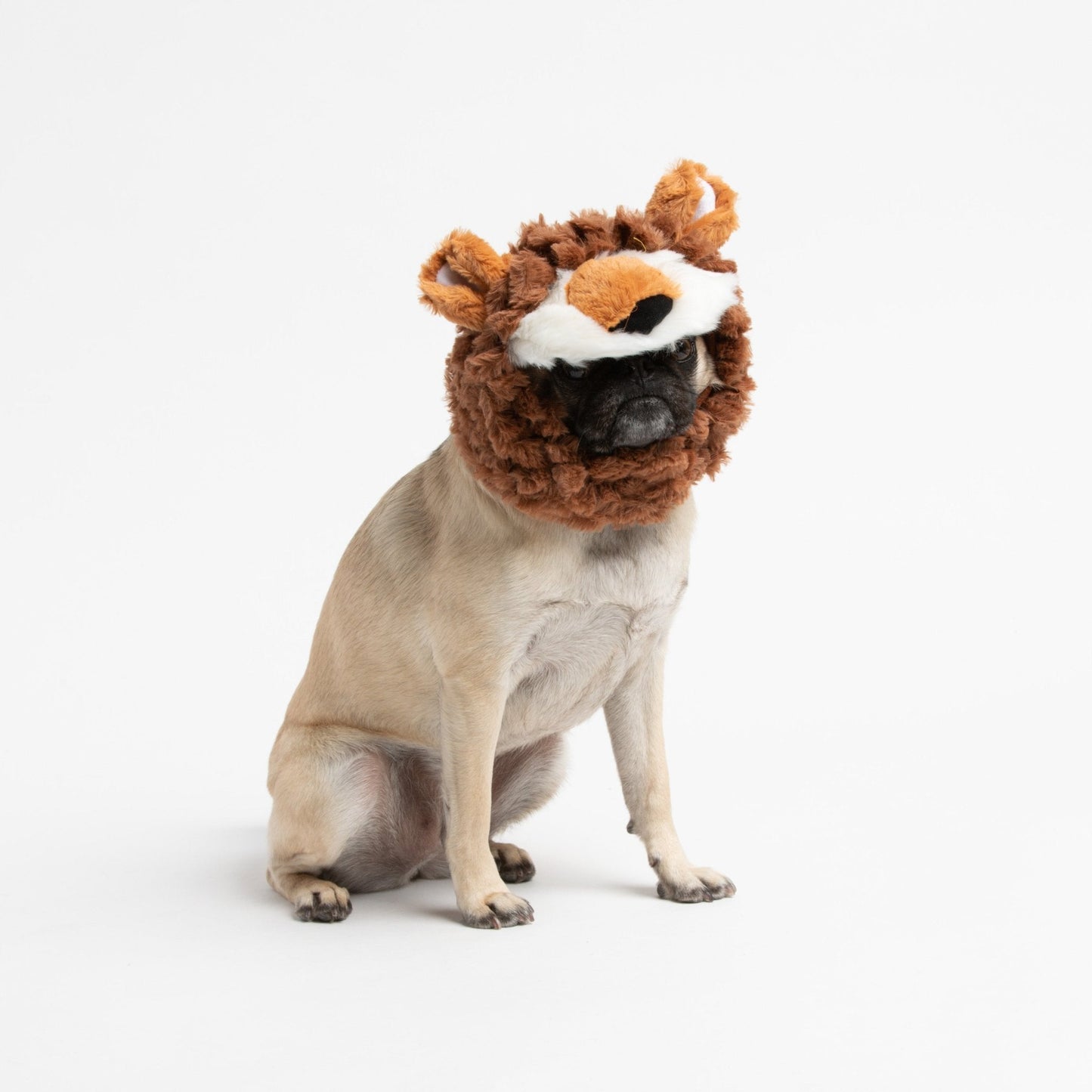 Lion Wig Costume