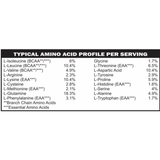 Elemental Whey WPI Protein Powder + Digestive Enzymes (Chocolate) | Low FODMAP & GLP-1 Gut-Gentle Muscle Support