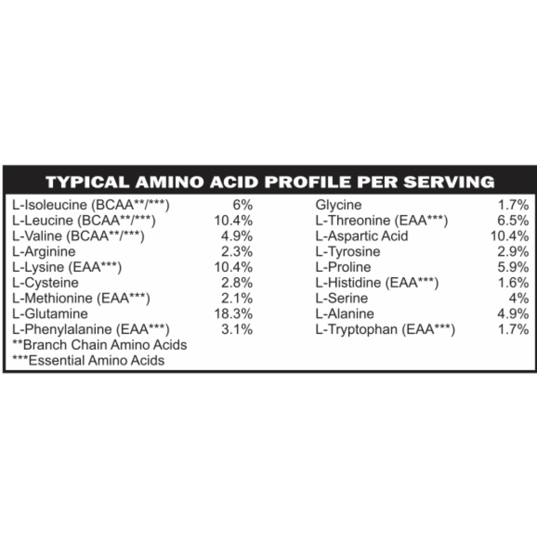 Advanced Whey Protein Chocolate MD PhD Formulated Gut Friendly Low FODMAP