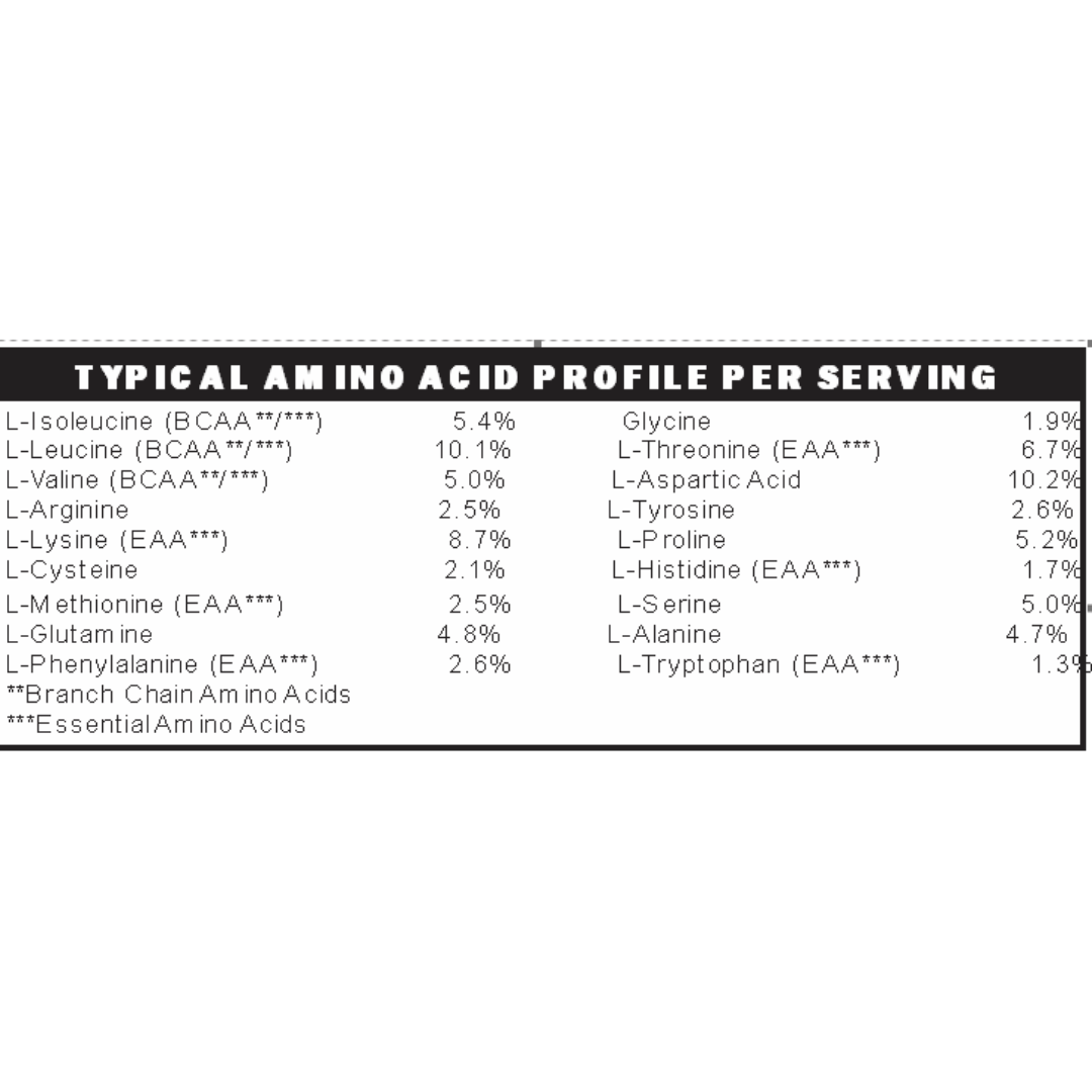 Low FODMAP Elemental Whey WPI Protein Powder + Digestive Enzymes| NO Gluten Lactose Soy Sugar or Grain, Low Carb Keto Paleo| All Natural Vanilla