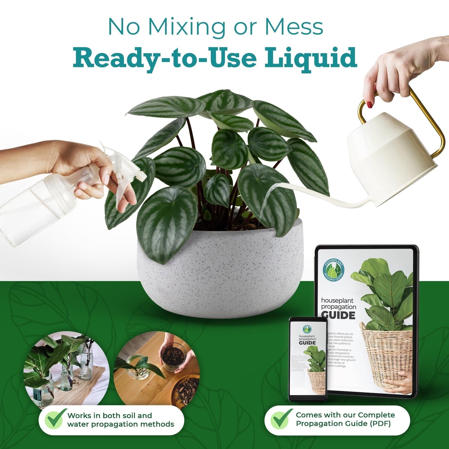 Houseplant Resource Center - Propagation Promoter, Root Stimulator, Foliage Focus, Plant Growth - for Fiddle Leaf Fig & Ficus Lyrata Solution Cuttings in Water or Soil, Indoor Plant Food - 8 Fluid Oz by Houseplant Resource Center