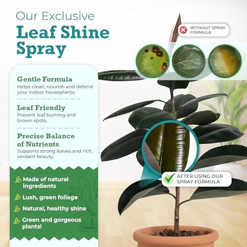 Houseplant Leaf Shine Spray - Leaf Polish, Gloss, and Shine, Perfect for House Plants and Foliage by Houseplant Resource Center