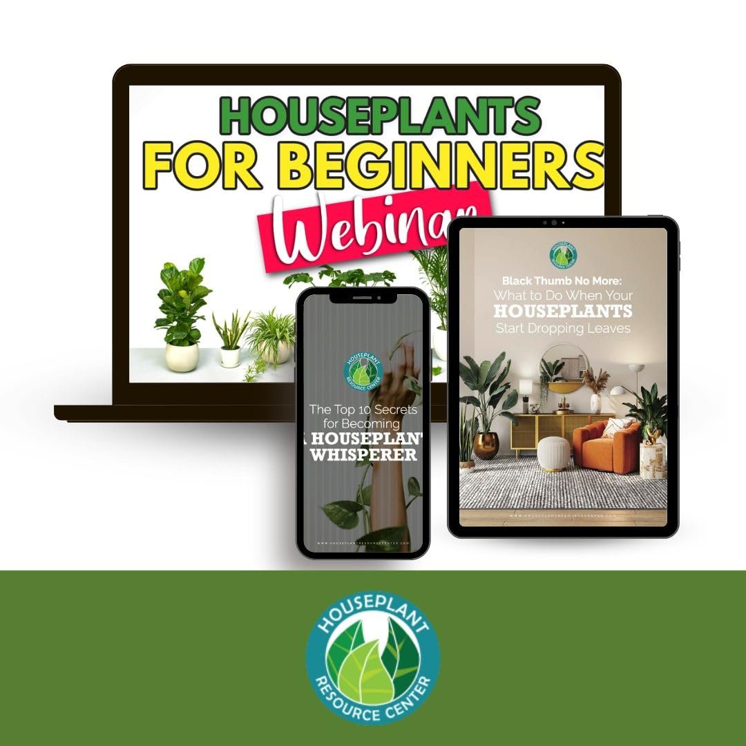 House Plant Probiotic Powder - Soil Conditioner to Provide Essential microbes for Fiddle Leaf figs and All Varieties of houseplant. includes All Essential microbes and probiotics by Houseplant Resource Center