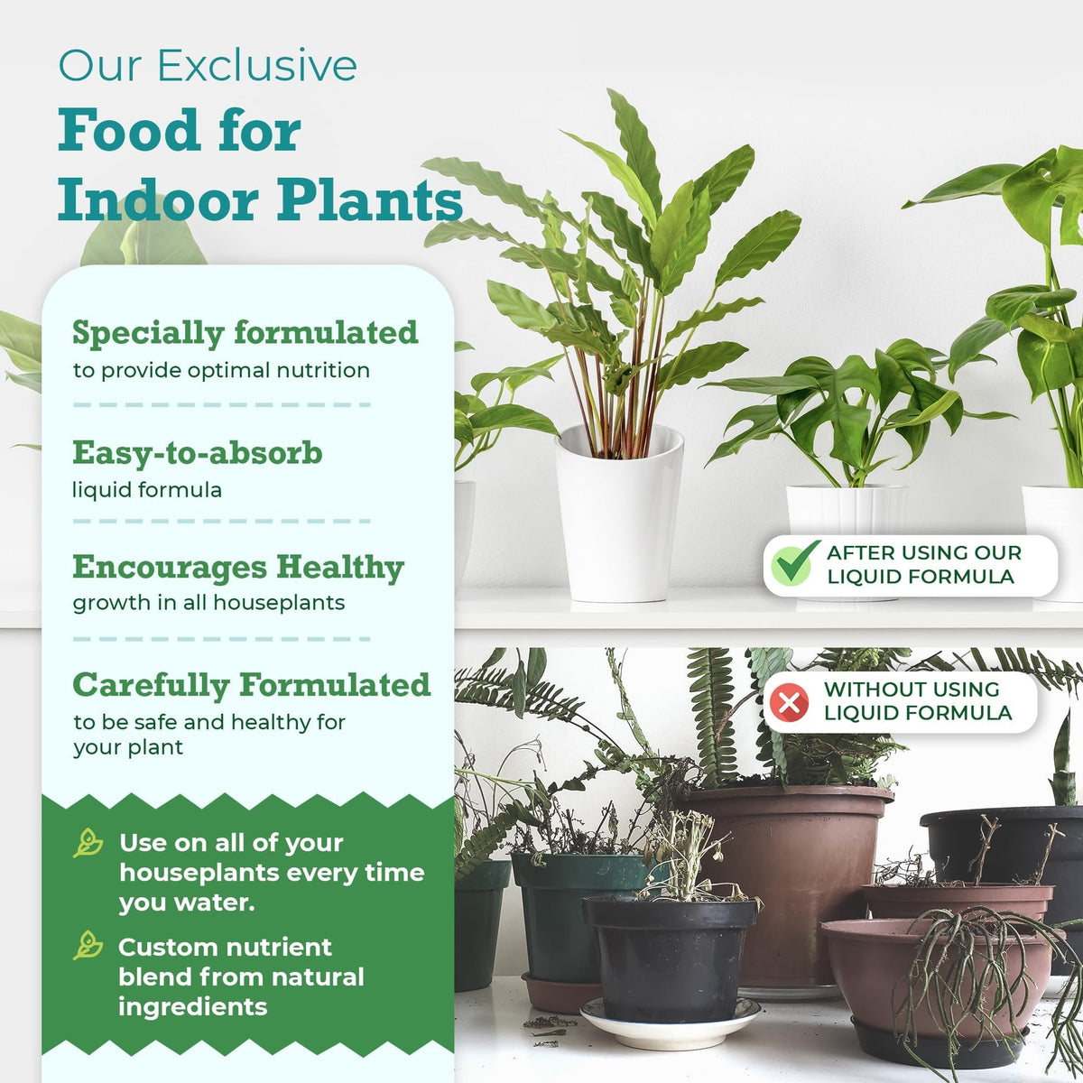 Indoor Plant Food by Houseplant Resource Center - Organic Liquid Fertilizer for Pothos, Peace Lily, Monstera, Cactus and More - 8 oz by Houseplant Resource Center