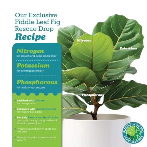 Fiddle Leaf Fig Rescue Drops by Fiddle Leaf Fig Plant Resource | 3-in-1 Liquid Fertilizer, Root Supplement & Immunity Booster (3.3 Fluid Ounces - 100ml) by Houseplant Resource Center