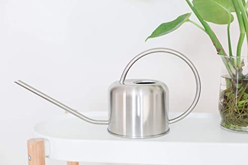 Stainless Steel Watering Can for Houseplants by Houseplant Resource Center | 1L Capacity for Indoor/Outdoor Plants in Brushed Silver by Houseplant Resource Center