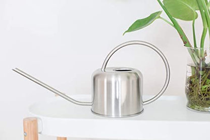 Stainless Steel Watering Can for Houseplants by Houseplant Resource Center | 1L Capacity for Indoor/Outdoor Plants in Brushed Silver by Houseplant Resource Center