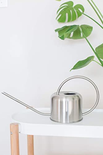 Stainless Steel Watering Can for Houseplants by Houseplant Resource Center | 1L Capacity for Indoor/Outdoor Plants in Brushed Silver by Houseplant Resource Center