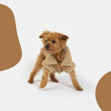 Millie Dog Jacket  Vegan Suede with Sherpa Trim & Poop Bag Dispenser