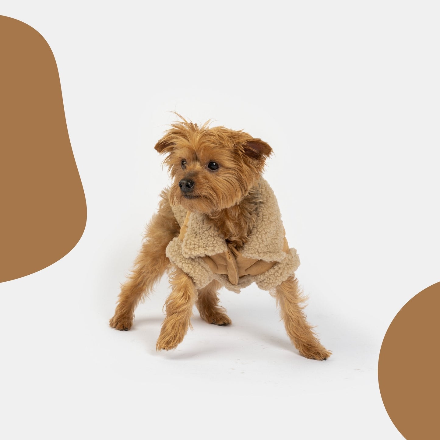 Millie Dog Jacket  Vegan Suede with Sherpa Trim & Poop Bag Dispenser