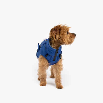 Monty Dog Jacket