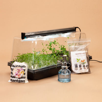 Plug-In Mini Greenhouse