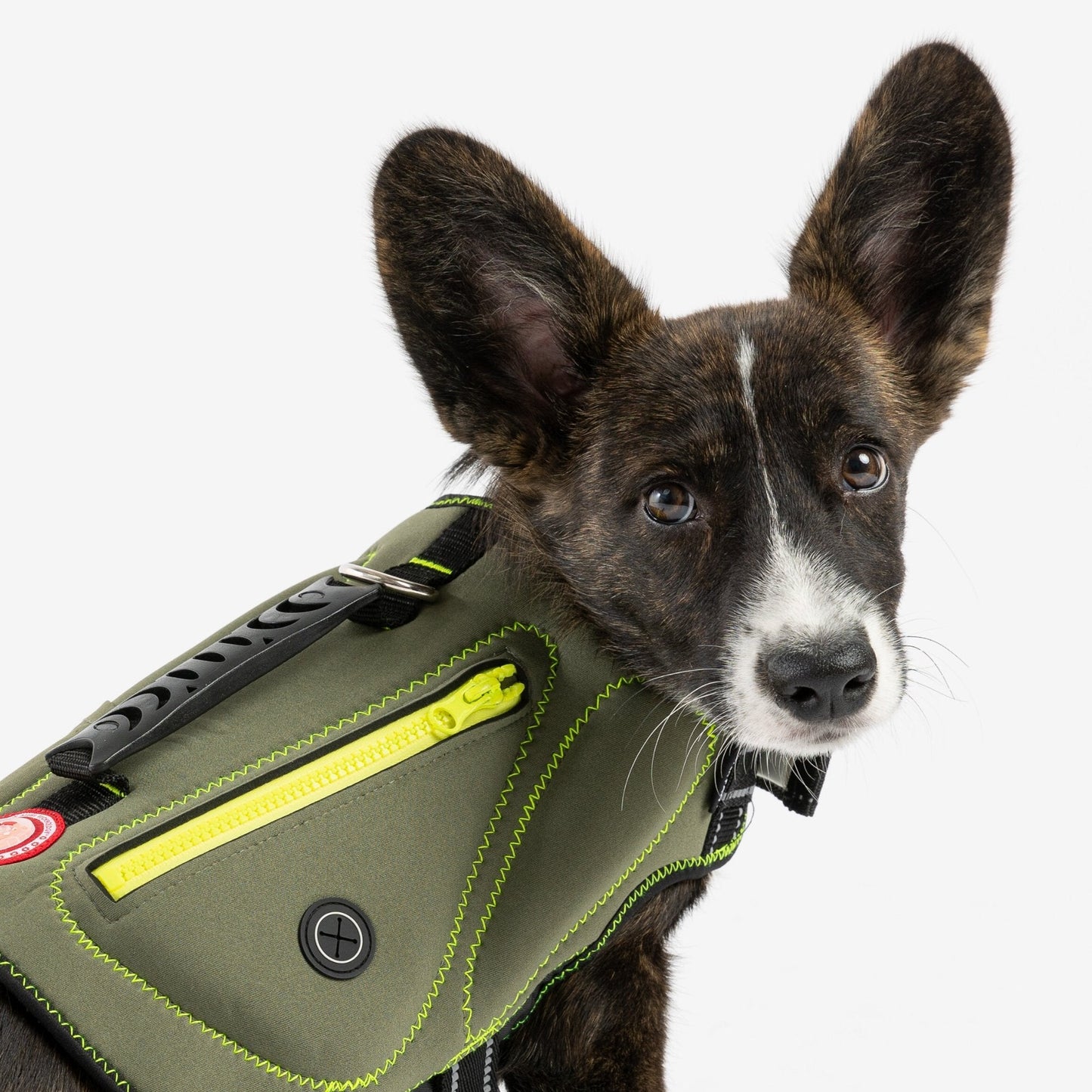 Neoprene Dog Life Jacket-Khaki