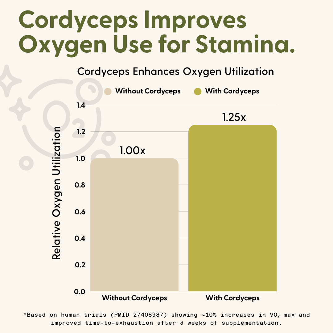 Daily Gummies Bundle