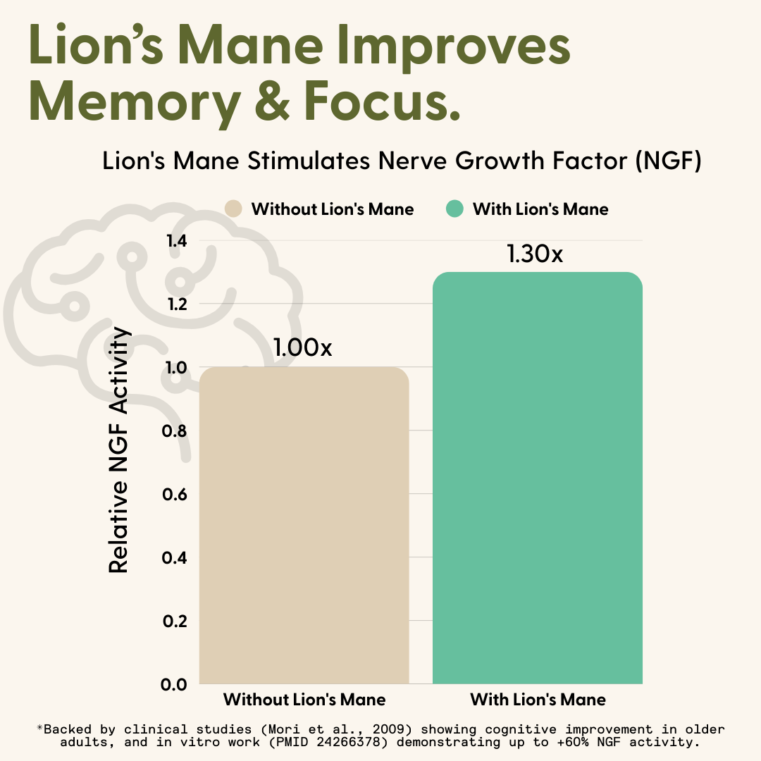 Daily Energy Gummies