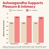 Daily Gummies Bundle