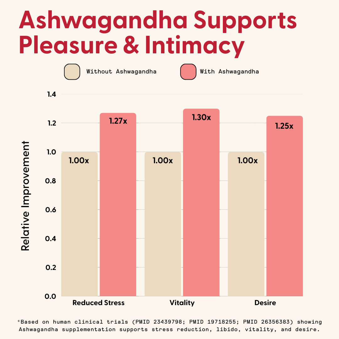 Daily Gummies Bundle