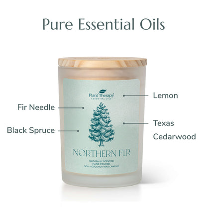 Northern Fir Naturally Scented Candle