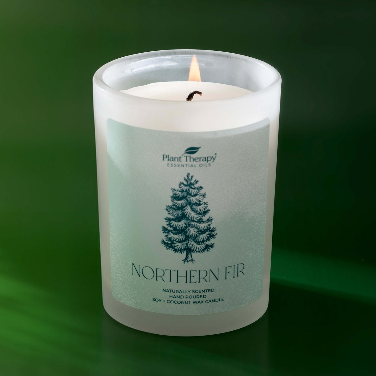 Northern Fir Naturally Scented Candle