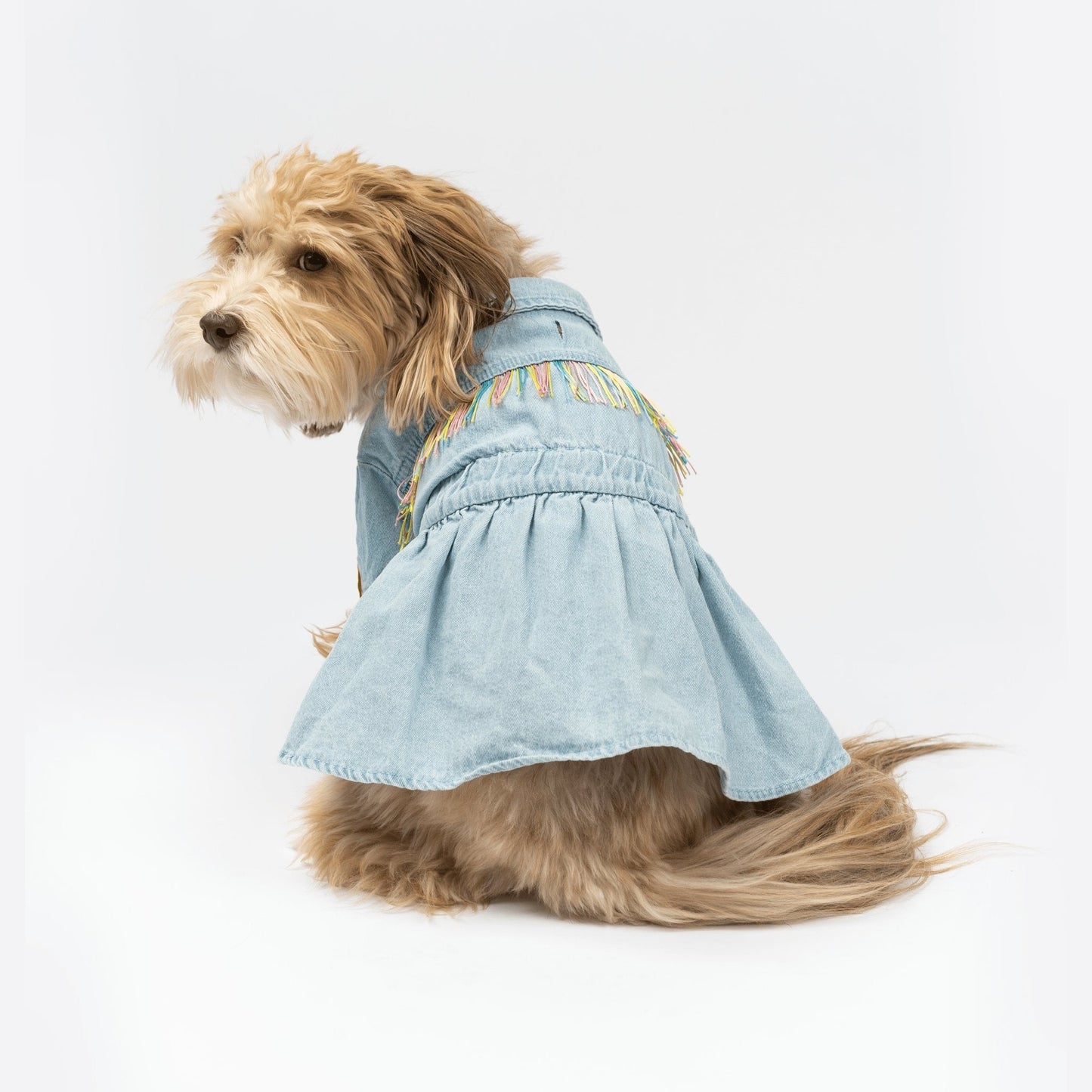 Ocean Denim Dog Dress