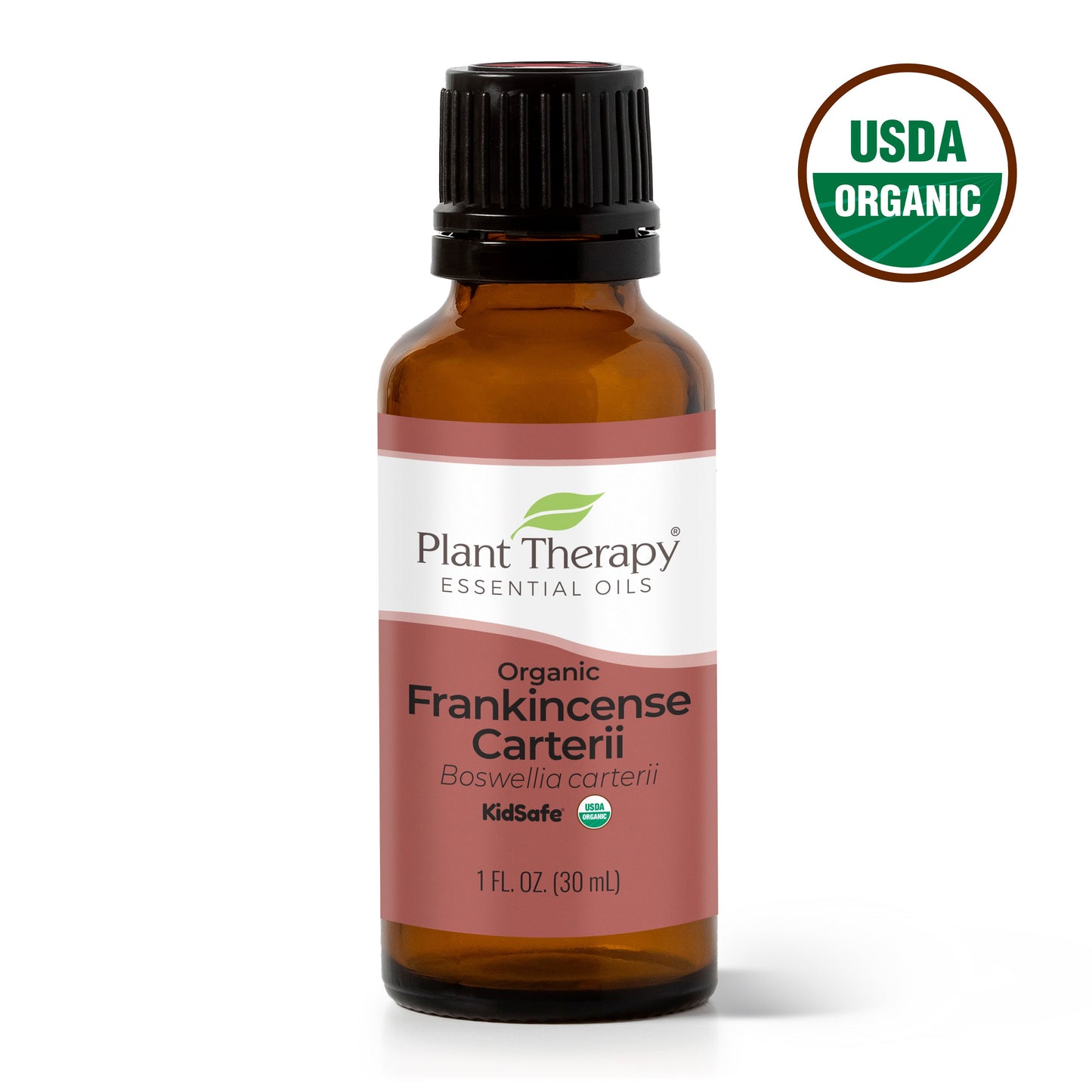 Organic Frankincense Carterii Essential Oil