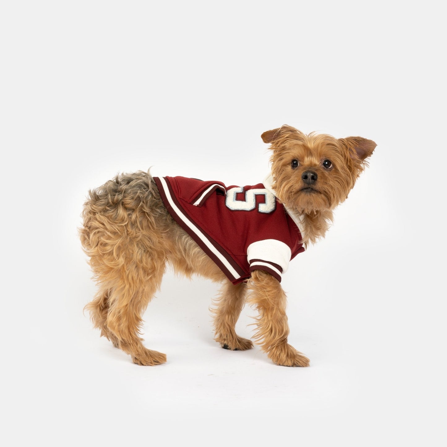 Otis Dog Letterman Jacket