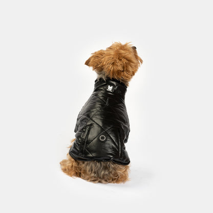 Phoenix Dog Jacket - Black