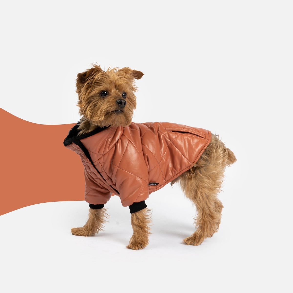 Phoenix Dog Jacket - Terracotta