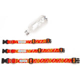 Seawoof Dog Leash Pink Paints Print