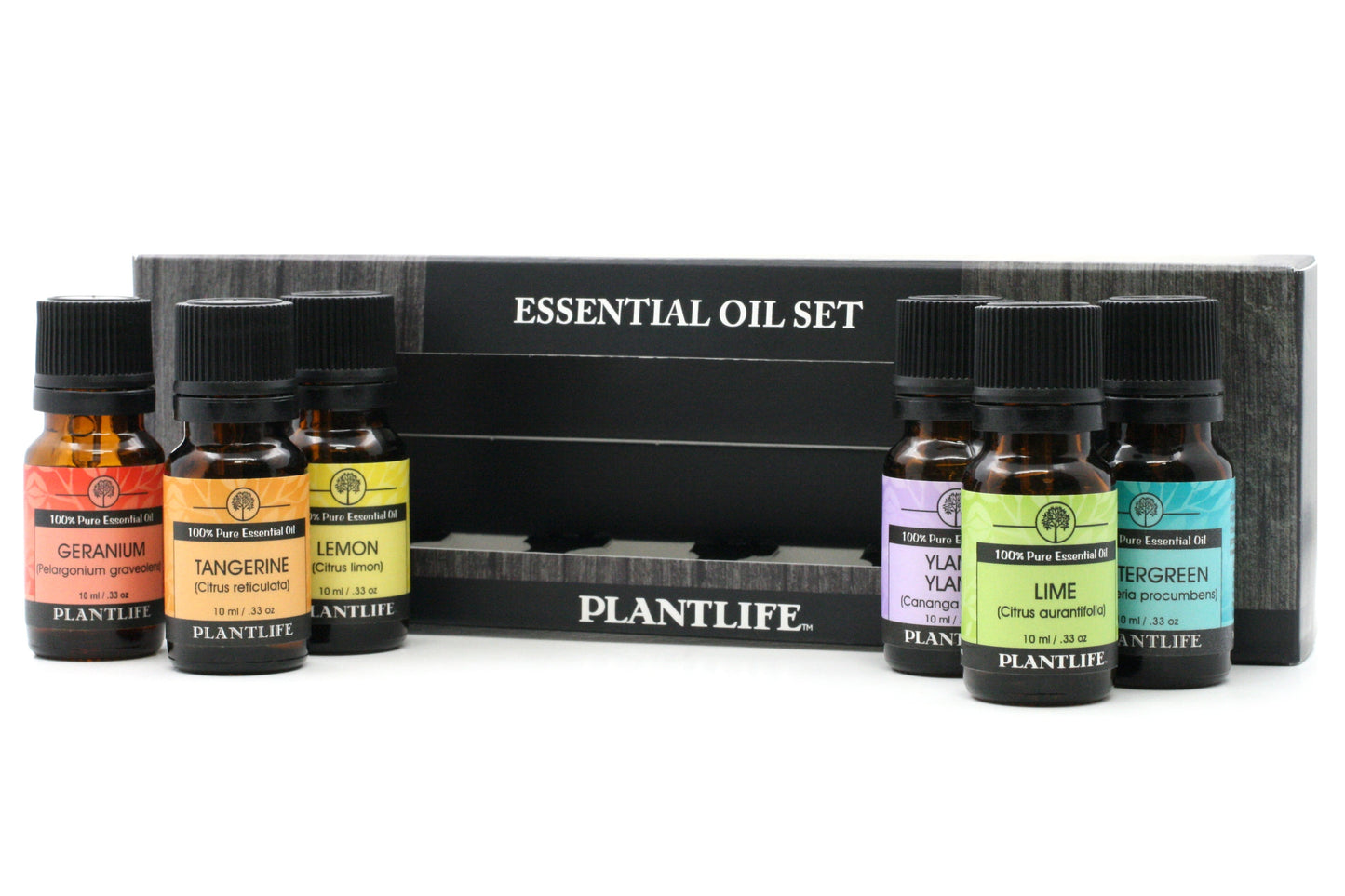 Create Your Own Essential Oil 6 Pack