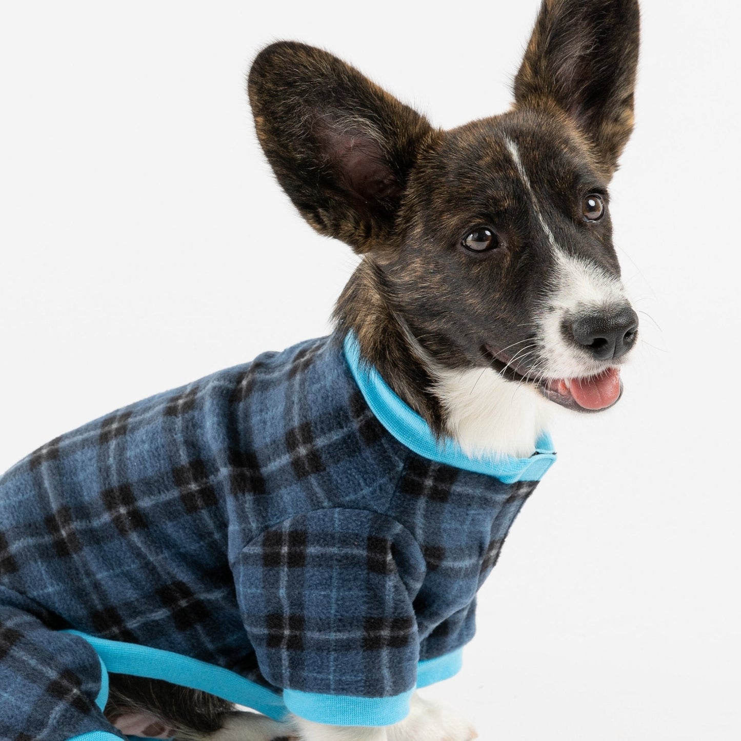 Plaid Dog Pajama - Blue