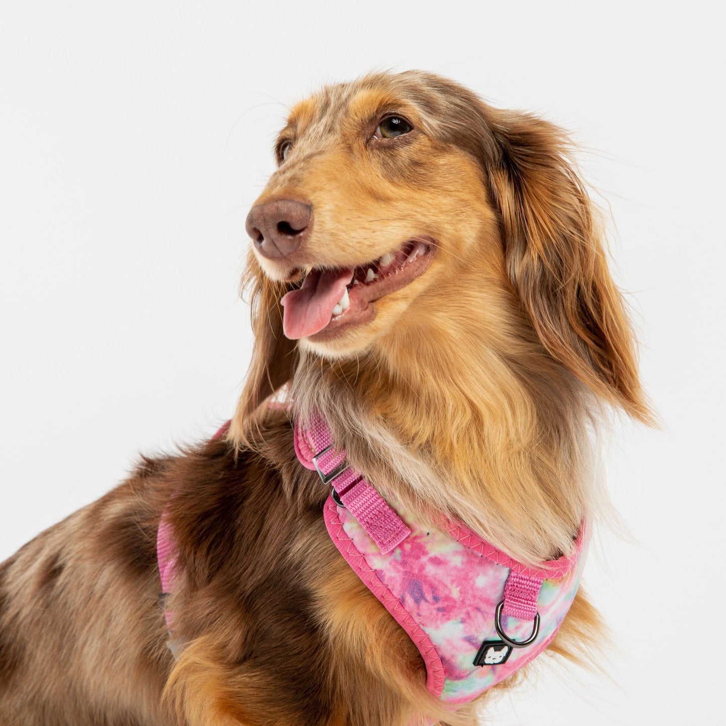 Poplin Dog Harness - Pink Tie Dye