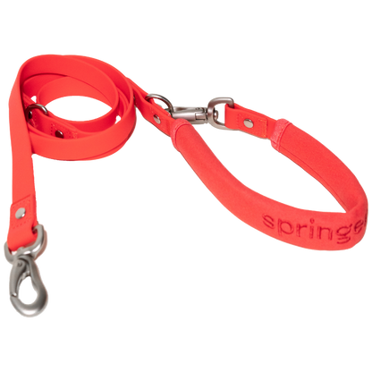 Dog Leash