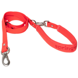 Small Dog Leash