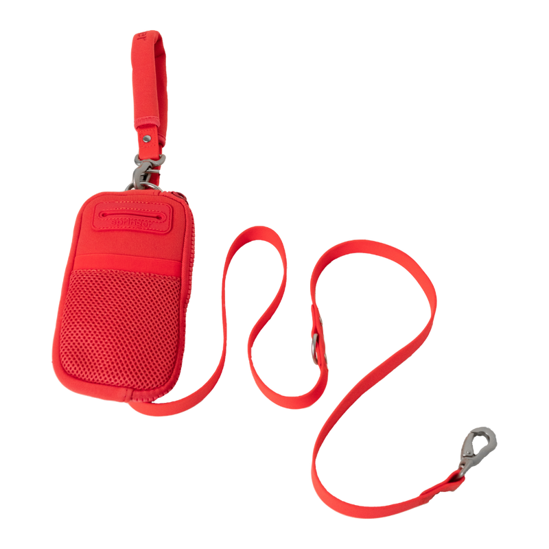 Walk Bag + Dog Leash