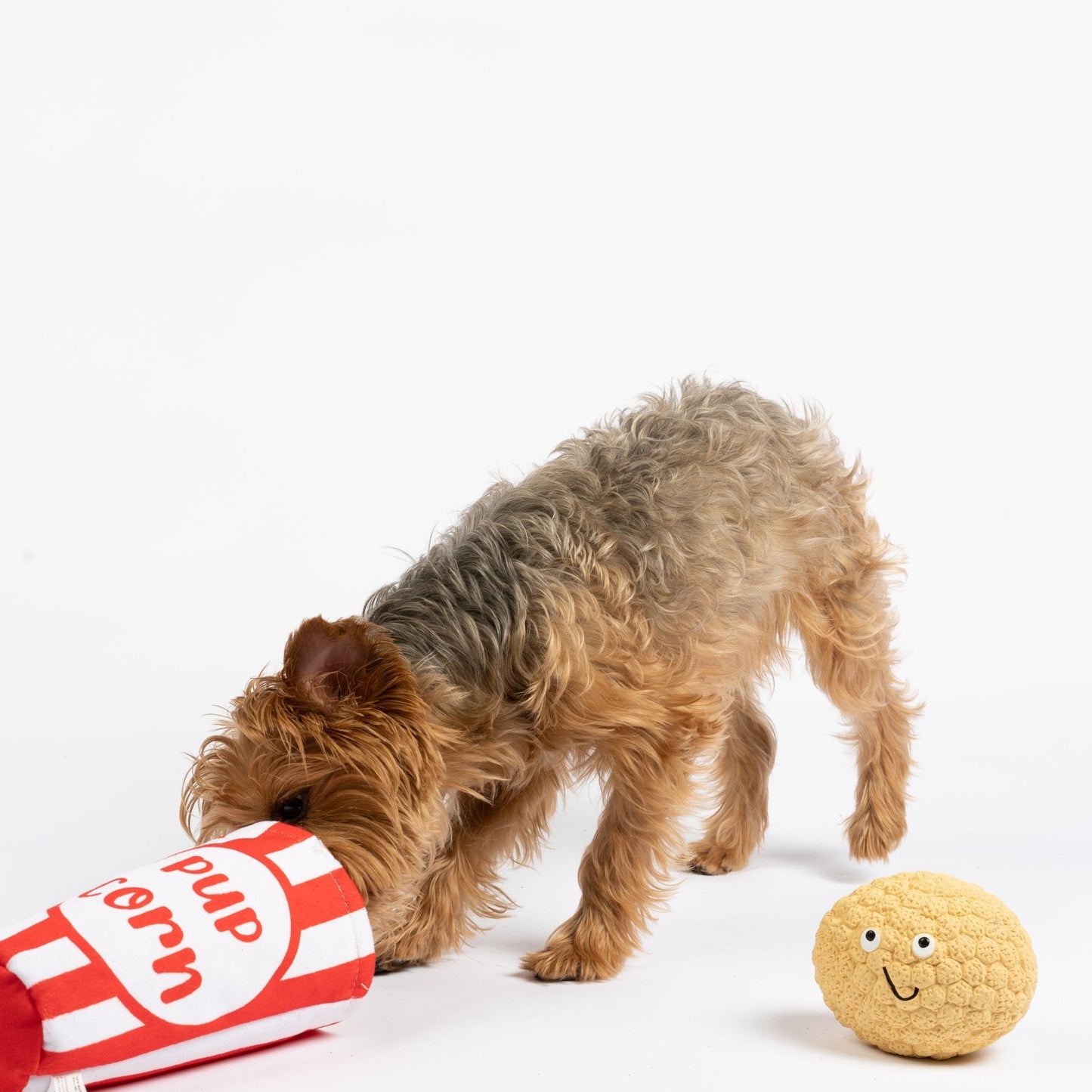 Pupcorn Dog Toy