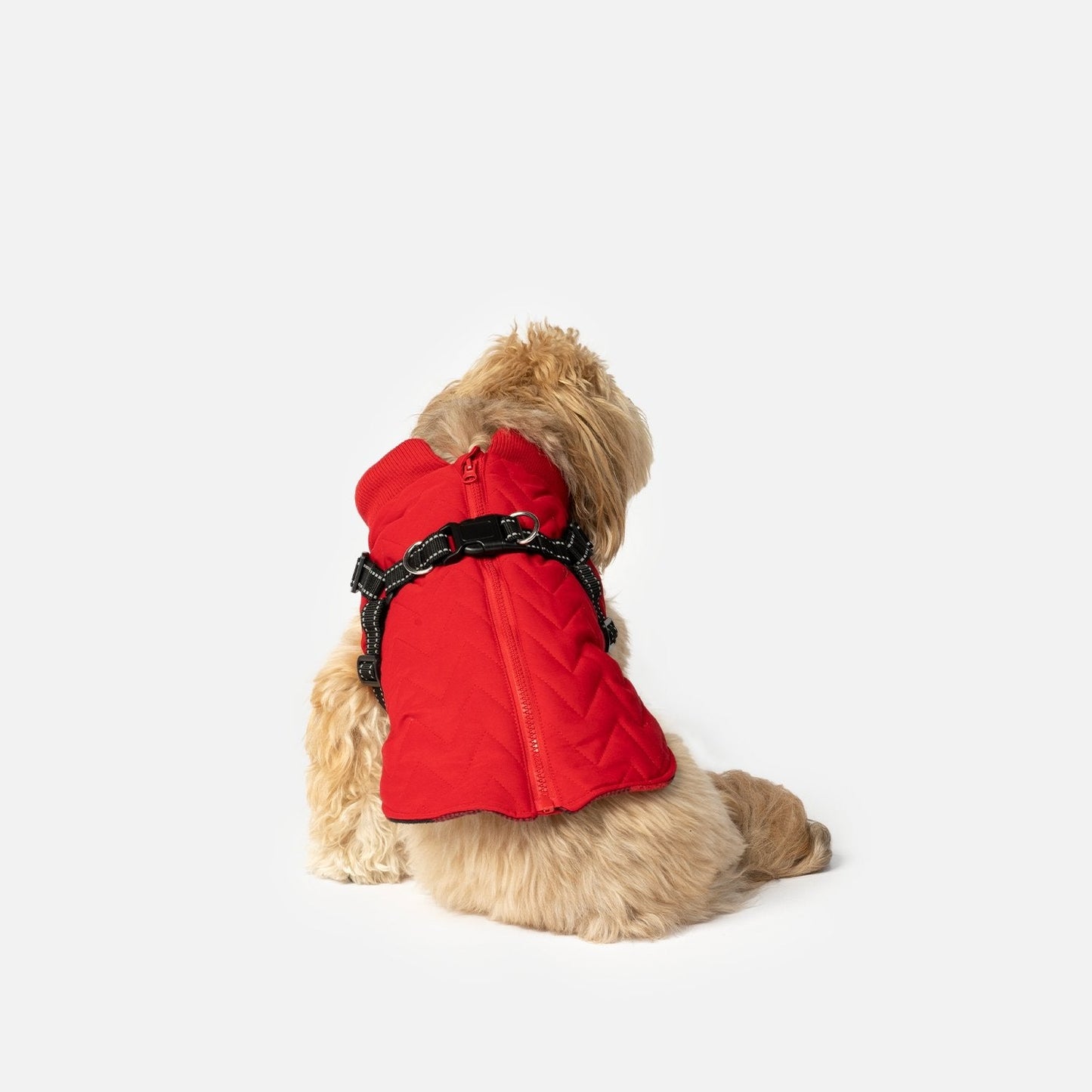 Quilted Dog Jacket With Built-In Harness - Red